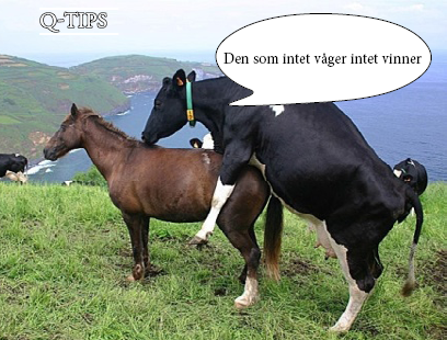 damer som puler norske naken bilder damer som puler norske naken bilder
